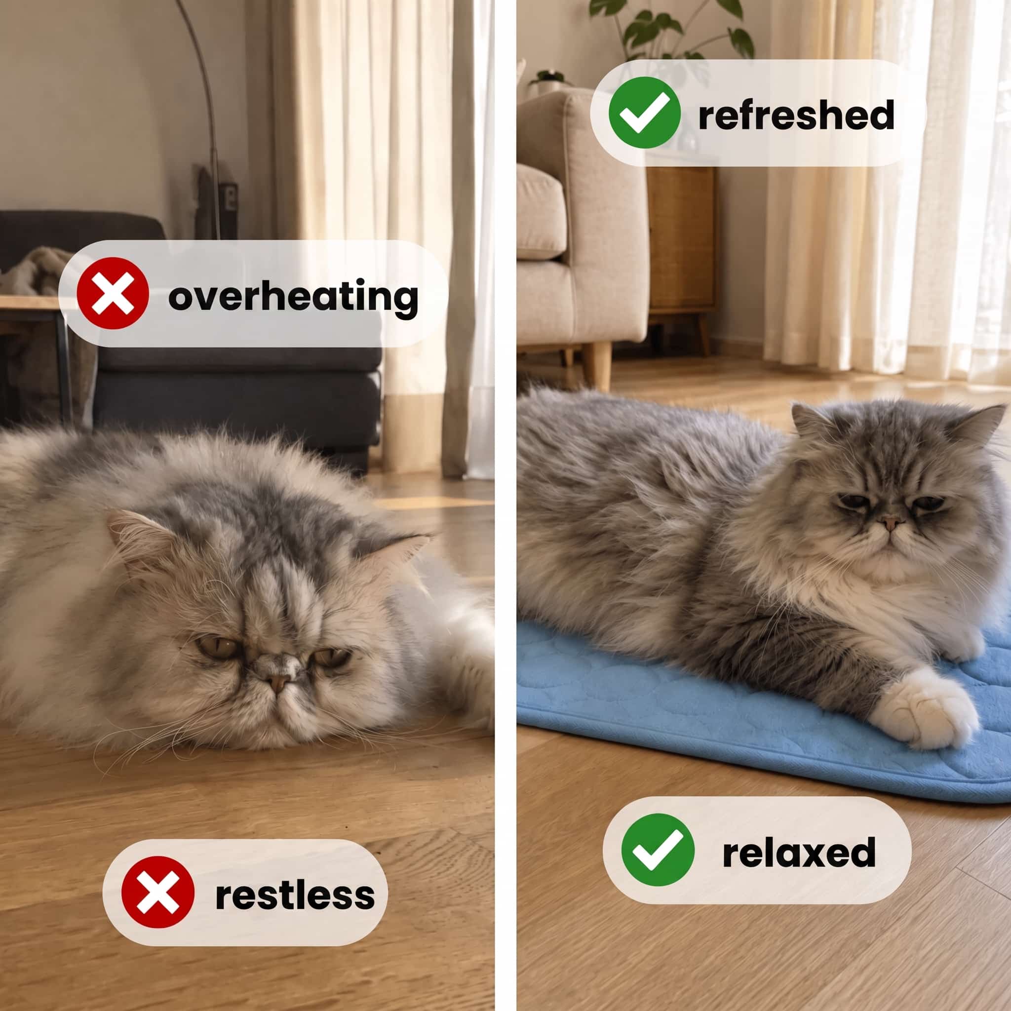 Lonivea Cooling Mat